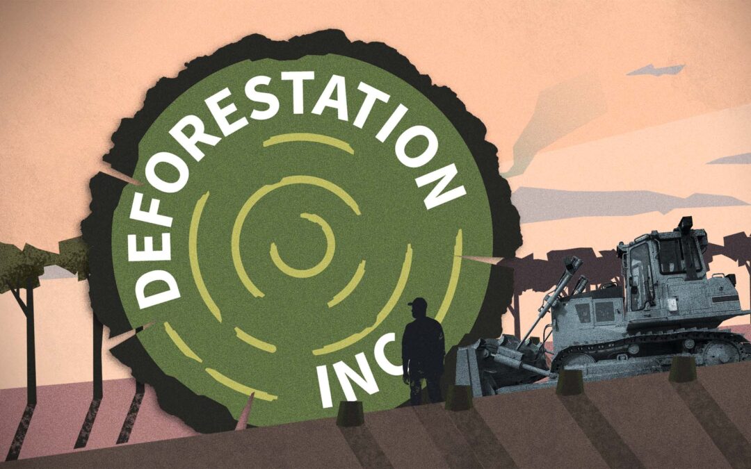 La filtracion «Deforestación Inc.» gana el premio Oakes 2024 de periodismo ambiental