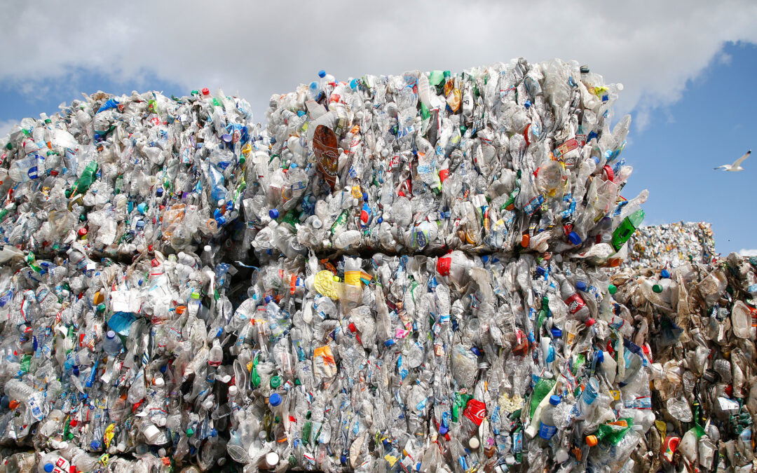 Documentos filtrados: la batalla de la industria del plástico para conquistar corazones y mentes