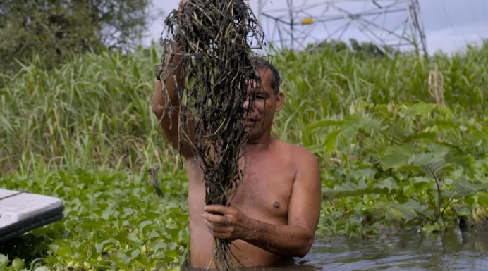 Los datos filtrados de un gigante petrolero revelan contaminación y destrucción de biodiversidad en Colombia