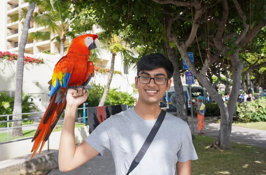 “Protejan a los filtradores de IA”: activistas presionan por ley inmediata en Washington