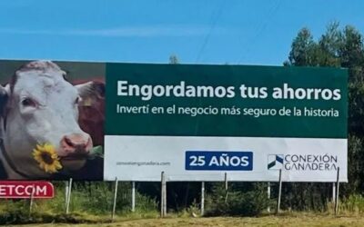 Uruguay: mails filtrados revelan la trama de estafas de una empresa ganadera caída en desgracia