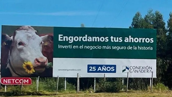 Uruguay: mails filtrados revelan la trama de estafas de una empresa ganadera caída en desgracia